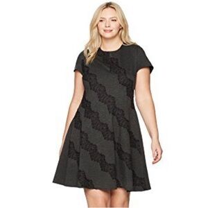 Eliza J Grey Black Lace Appliqué Ponte Knit Fit & Flare Dress Plus Size 20W Chic
